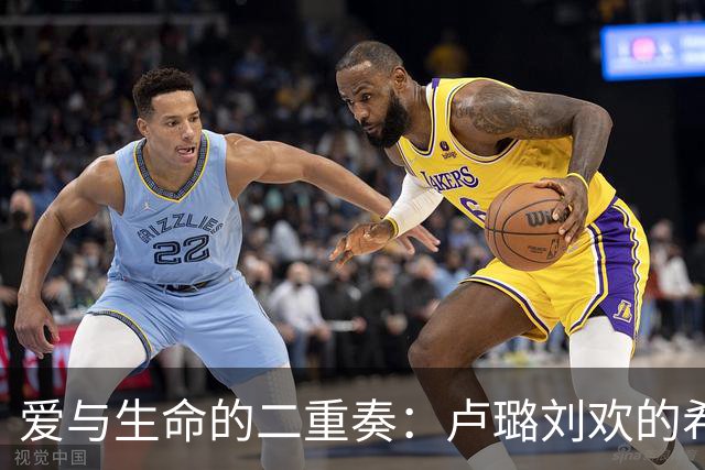 爱与生命的二重奏：卢璐刘欢的希腊银婚故事